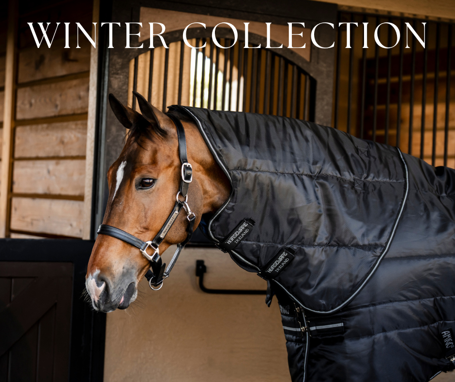 Winter Collection