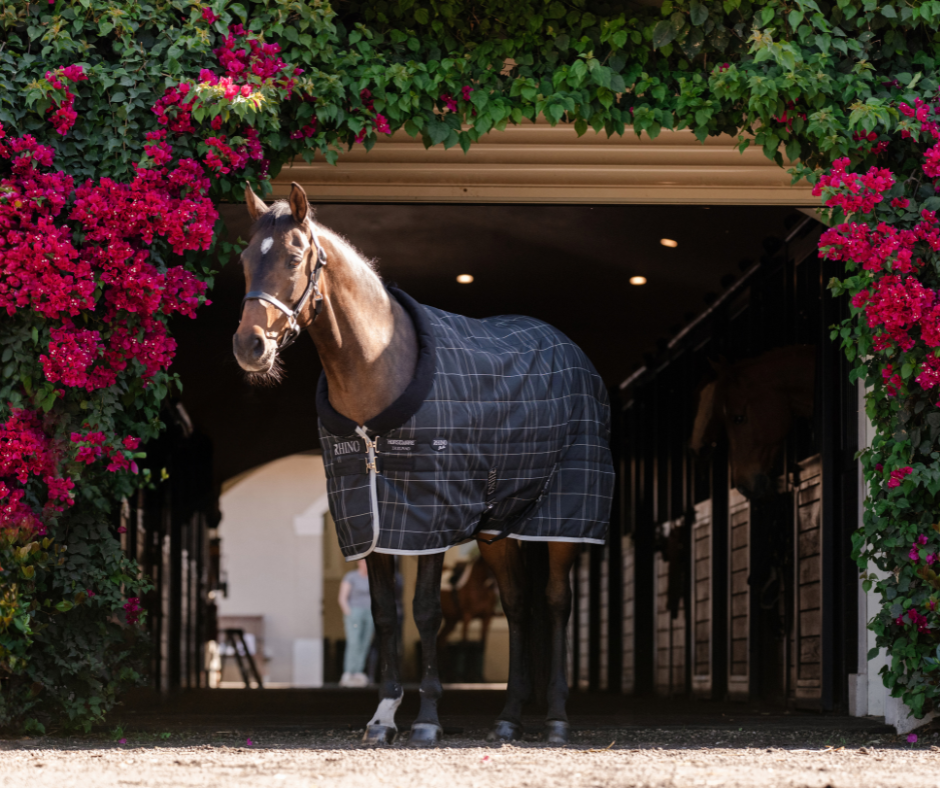 Rhino Stable Rug