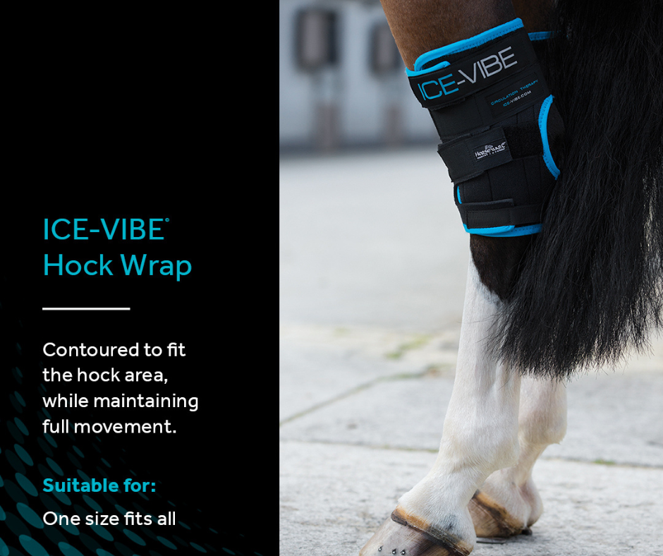 Spare Cold Packs for Ice-Vibe Hock Wraps