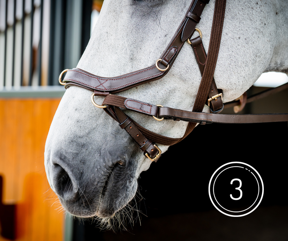 Horseware Micklem 2 Multi Bridle