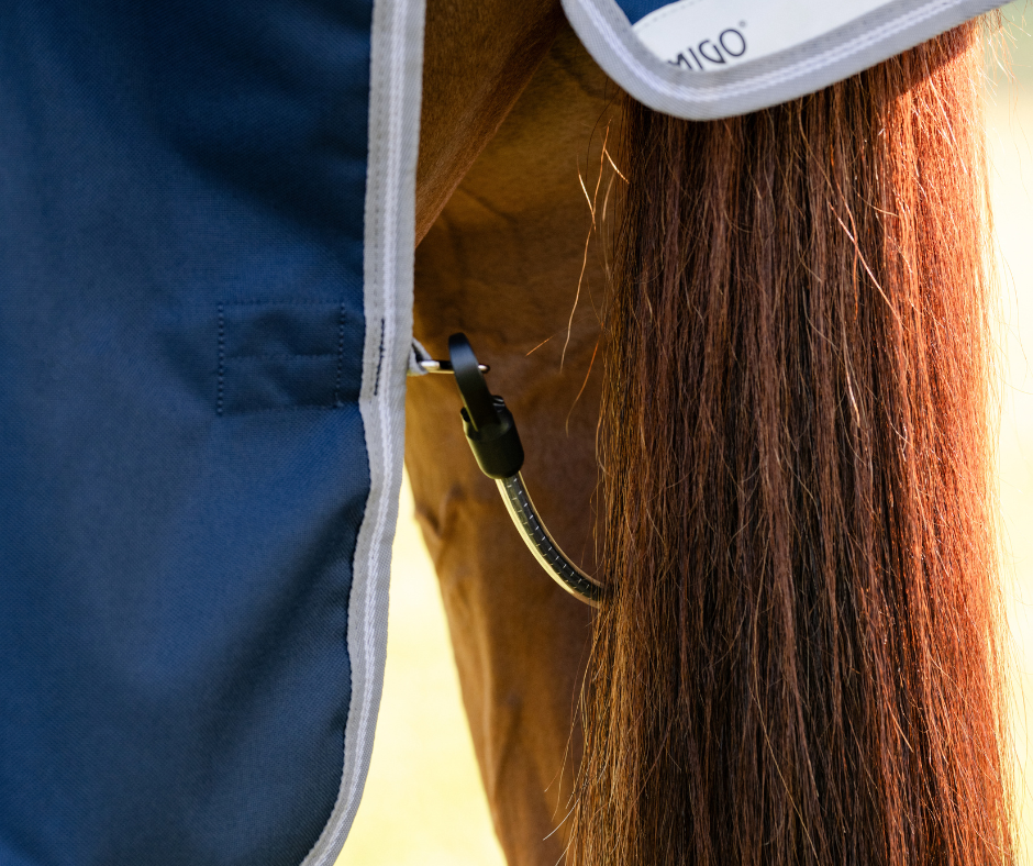 Amigo 1200D Plus Turnout 0g