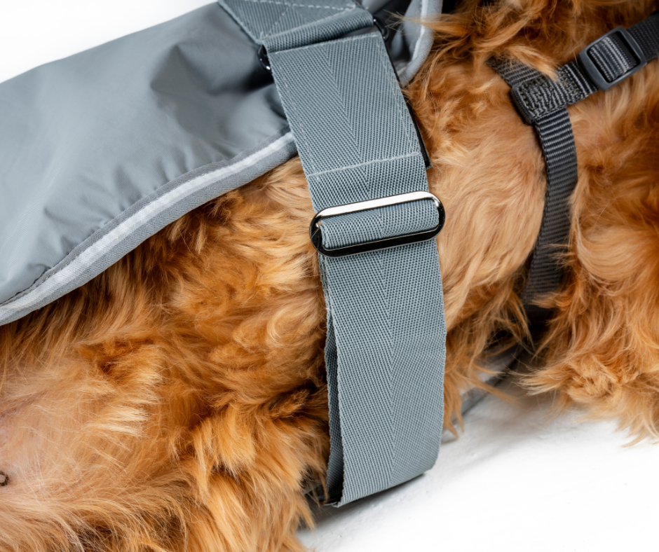 Horseware Newmarket Dog Coat