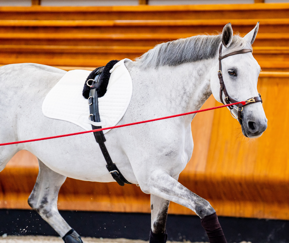 Horseware Micklem 2 Multi Bridle