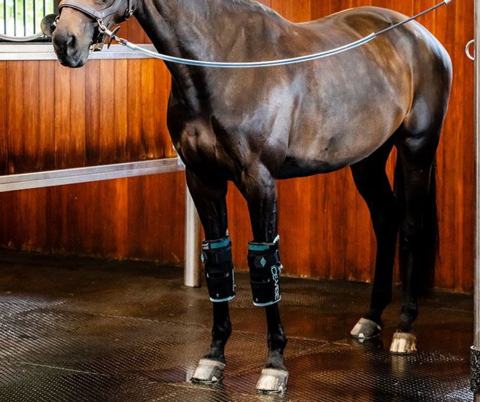 Ice-Vibe Knee Wrap NEW