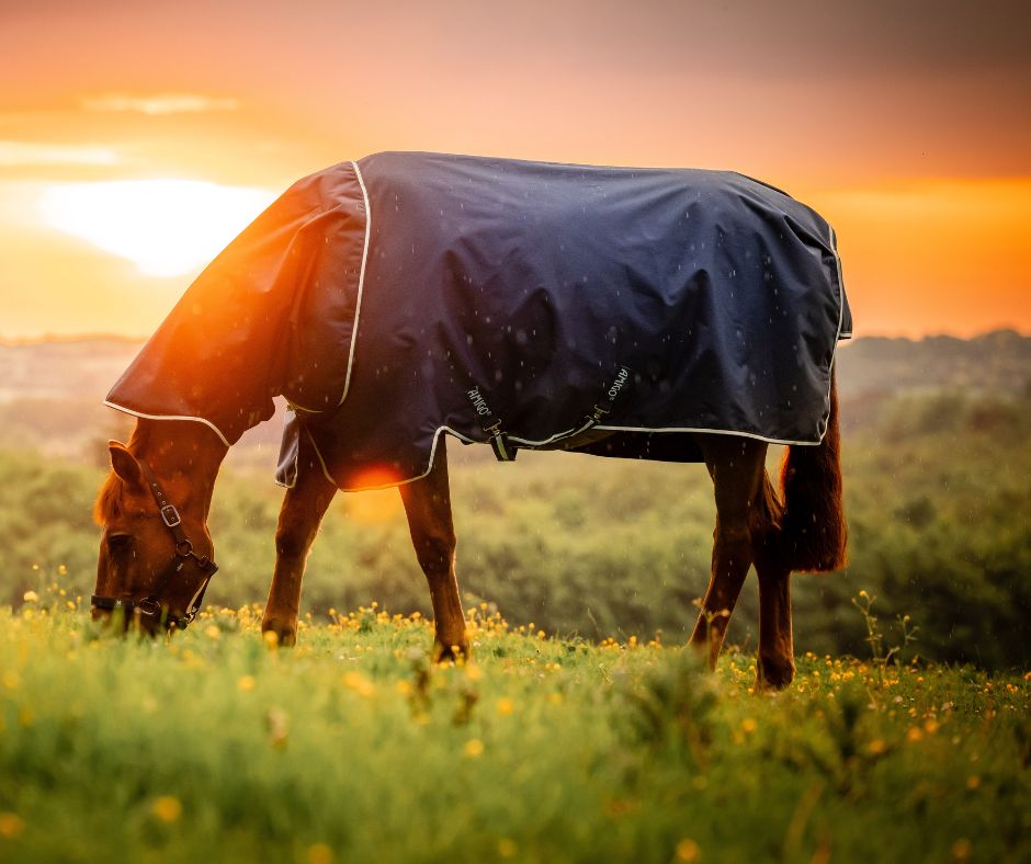 Amigo Ripstop 900D Plus Turnout 0g