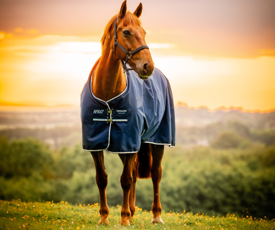 Amigo Ripstop 900D Plus Turnout 0g