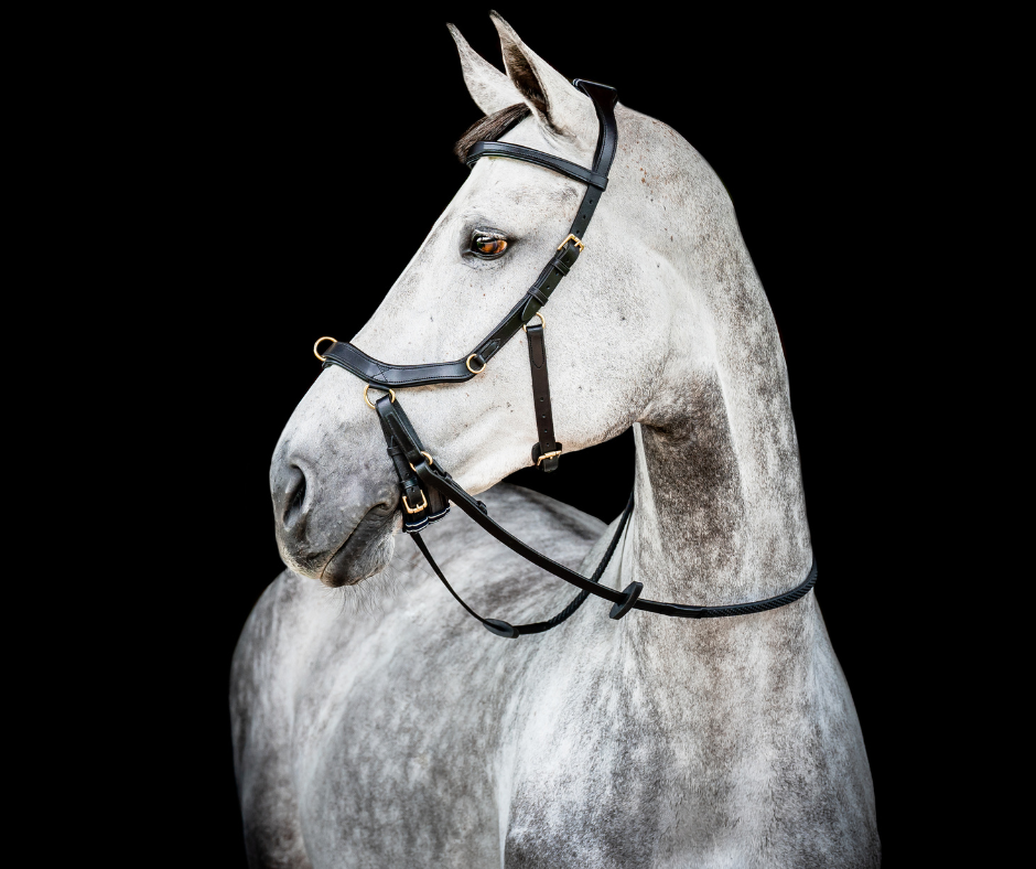 Horseware Micklem 2 Multi Bridle