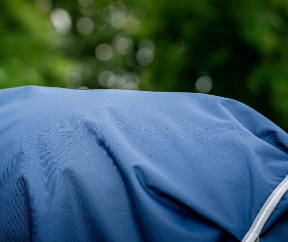 Amigo 1200D Integrated Turnout 50g