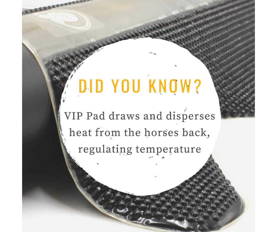 The VIP Saddle Pad
