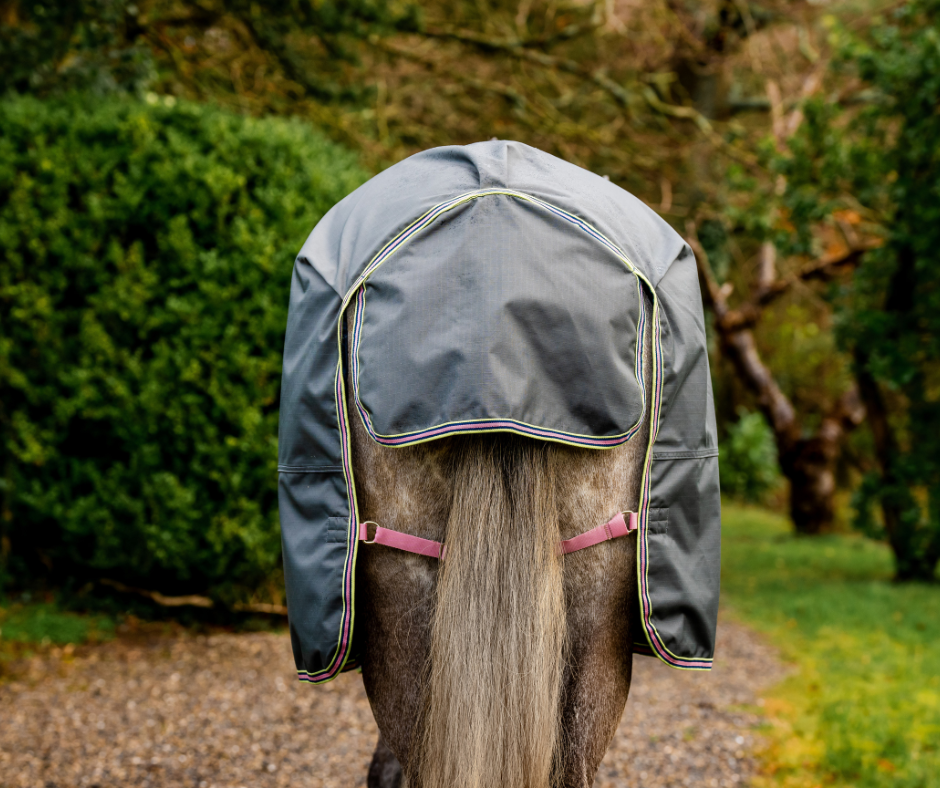 Amigo Hero Ripstop Plus Lite