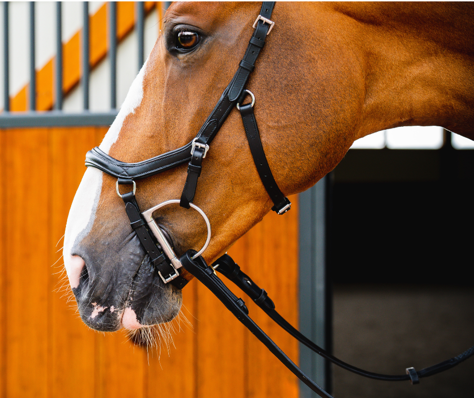 Horseware Micklem 2 Diamante Competition Bridle