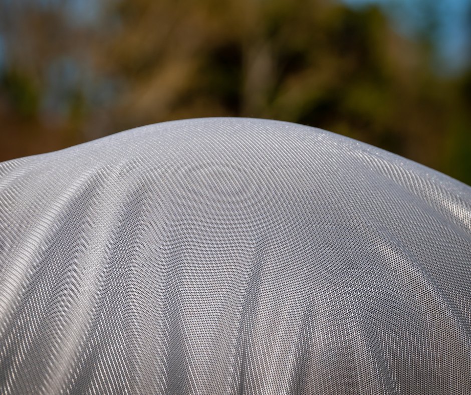 Amigo XL Bug Rug Disc Front