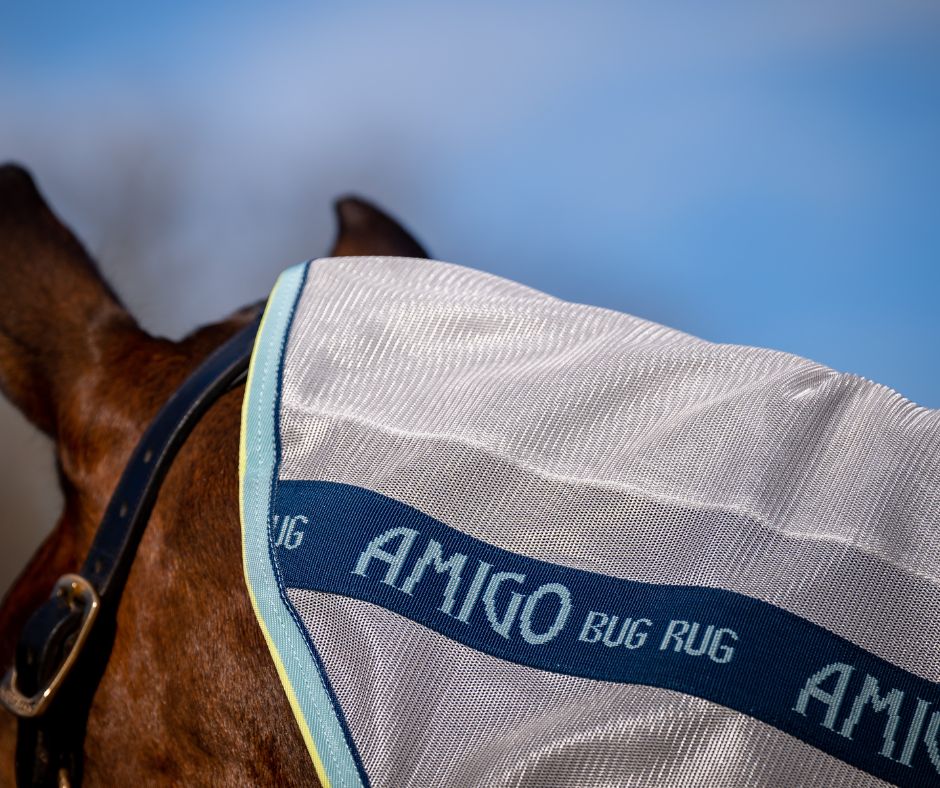 Amigo XL Bug Rug Disc Front