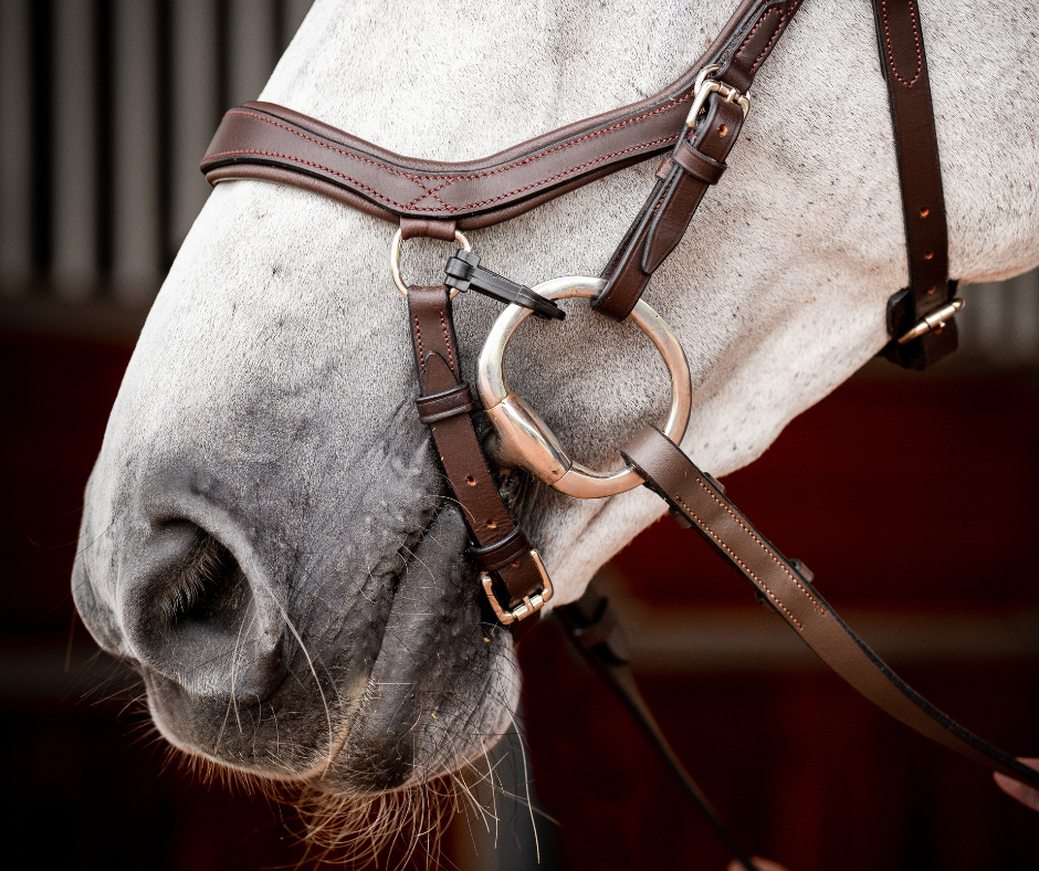 Horseware Micklem 2 Competition Bridle