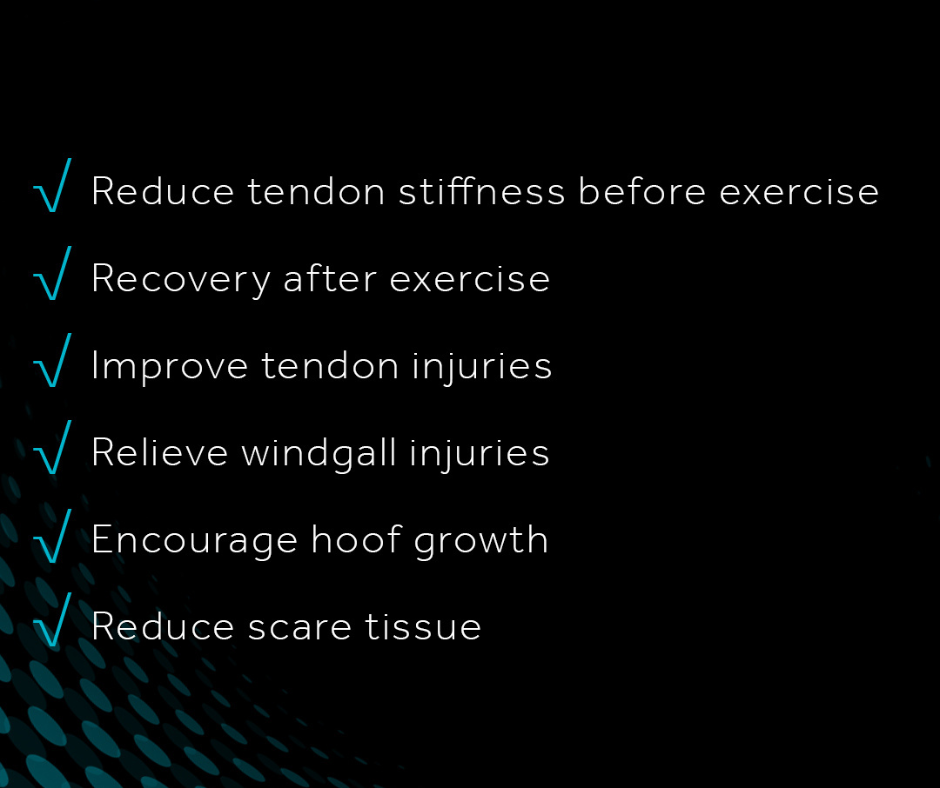 Ice-Vibe Circulation Hock Therapy