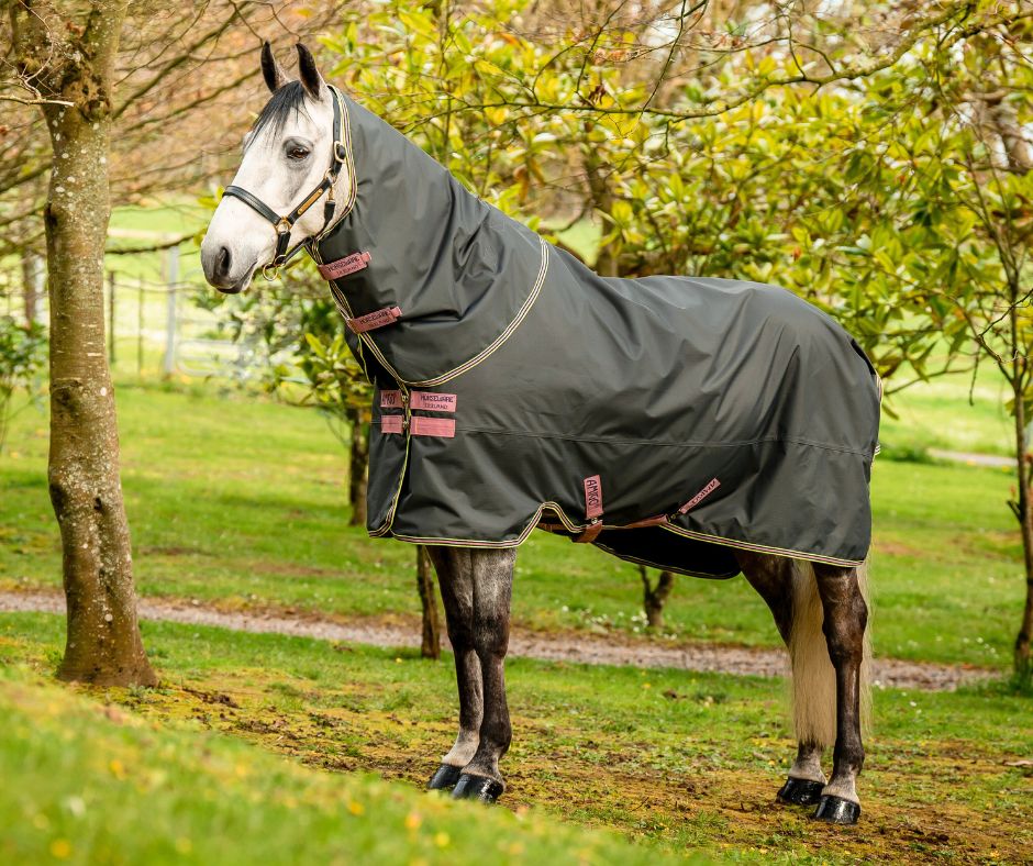 Amigo Hero Ripstop Plus Lite