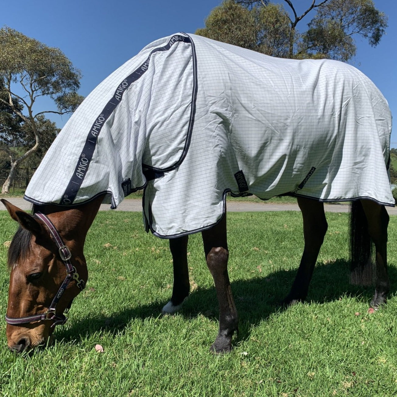 Amigo Helix Allrounder Disc Front