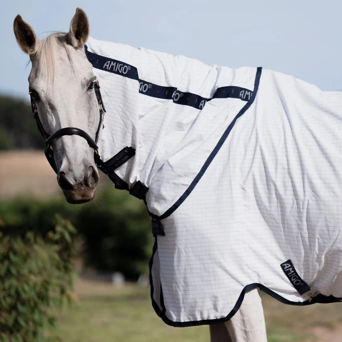 Amigo Helix Allrounder Disc Front