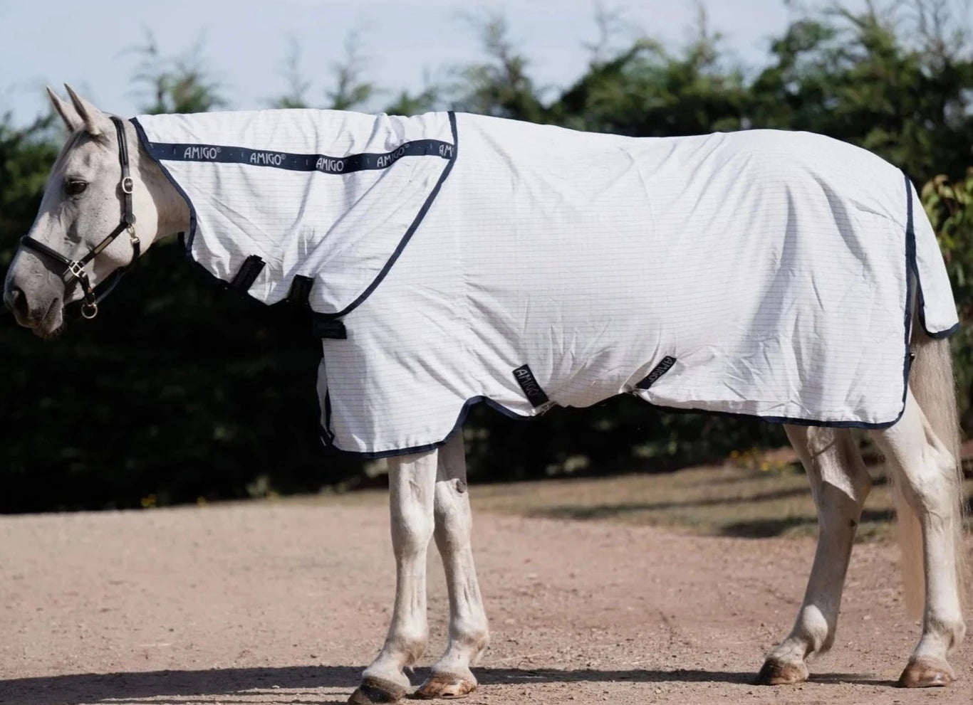 Amigo Helix Allrounder Disc Front