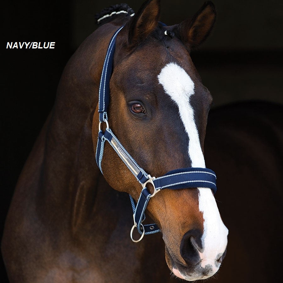 Rambo Padded Headcollar - Pony