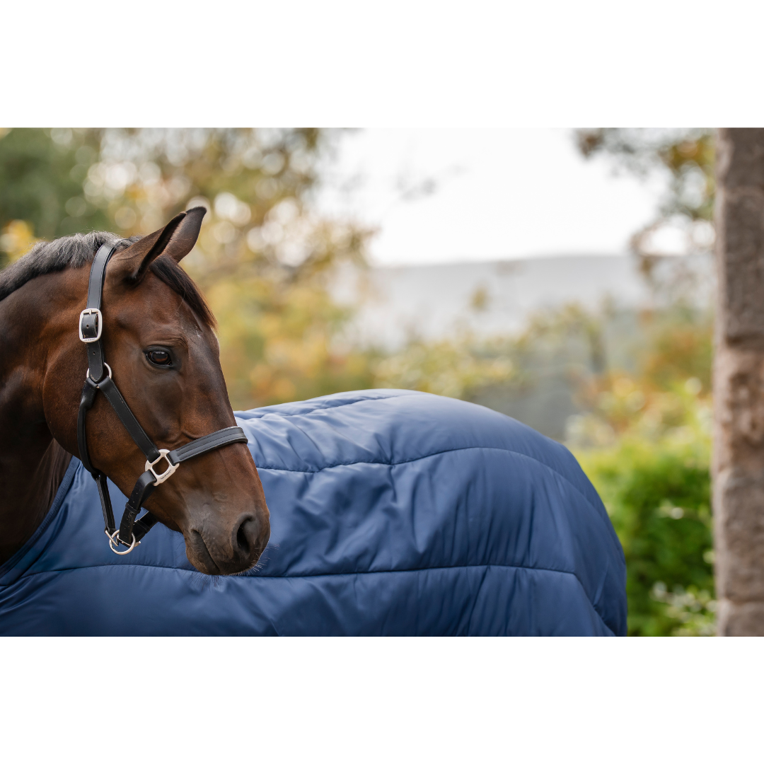 Horseware Liner *new* - 100g
