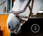 Horseware Micklem 2 Multi Bridle