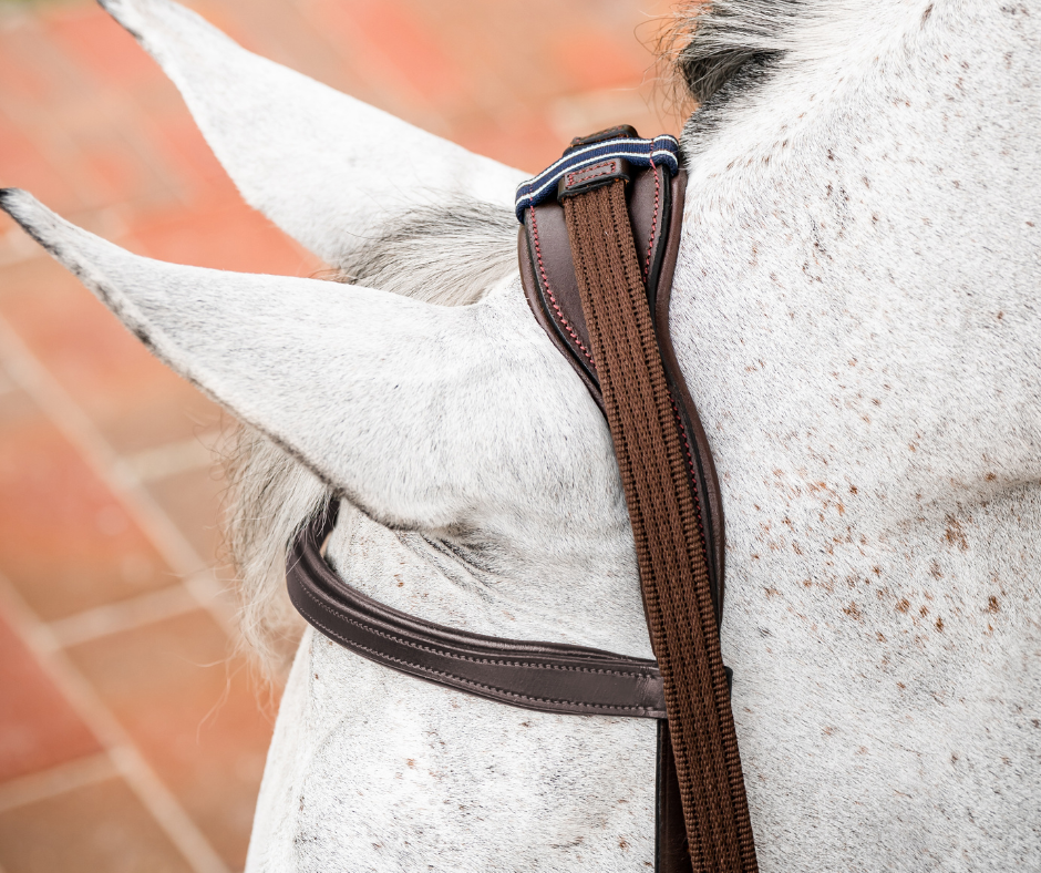 Horseware Micklem 2 Multi Bridle