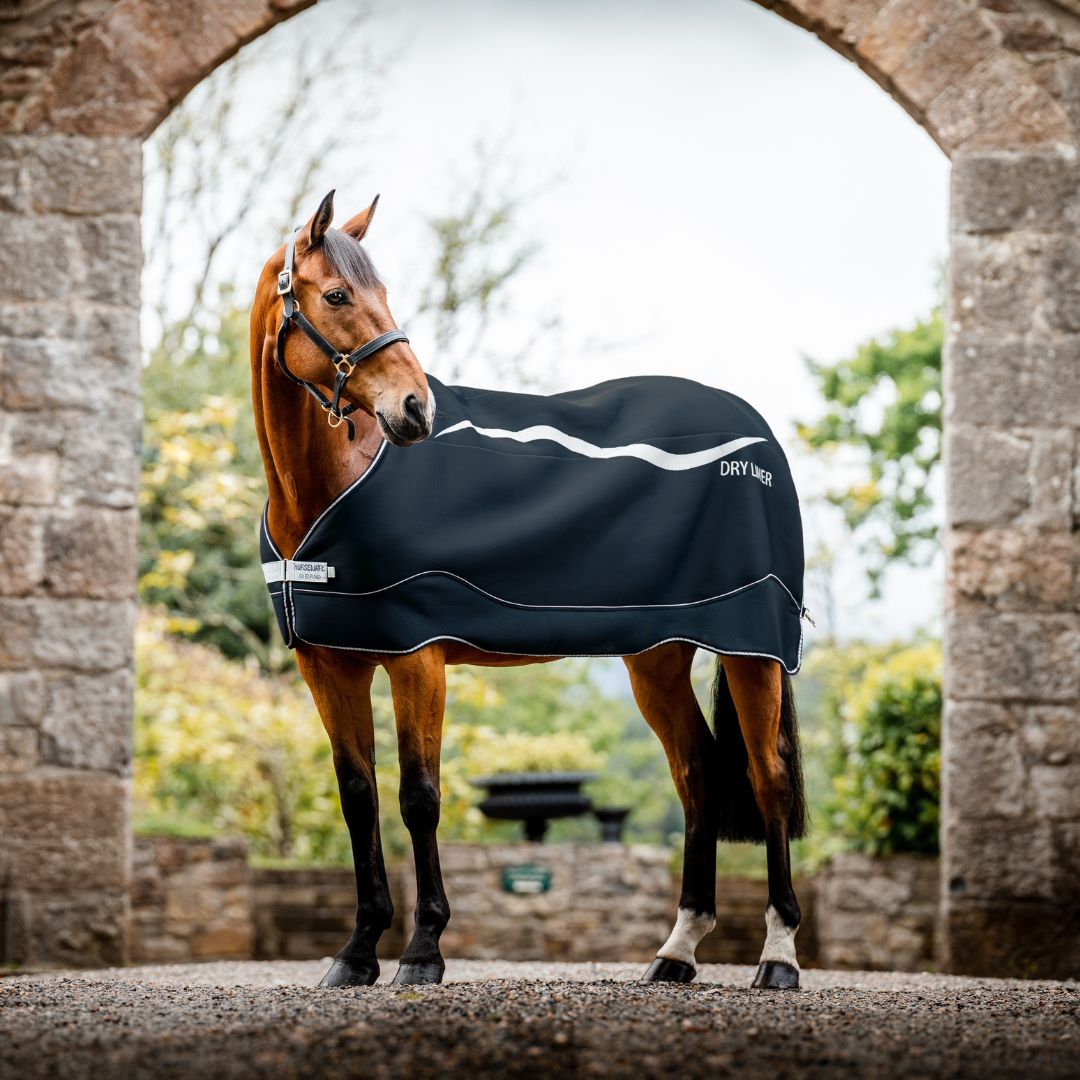 Horseware Dry Liner 50g