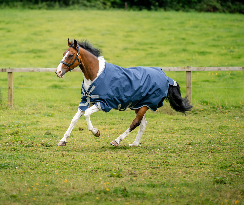 Amigo 1200D XL Turnout 50g