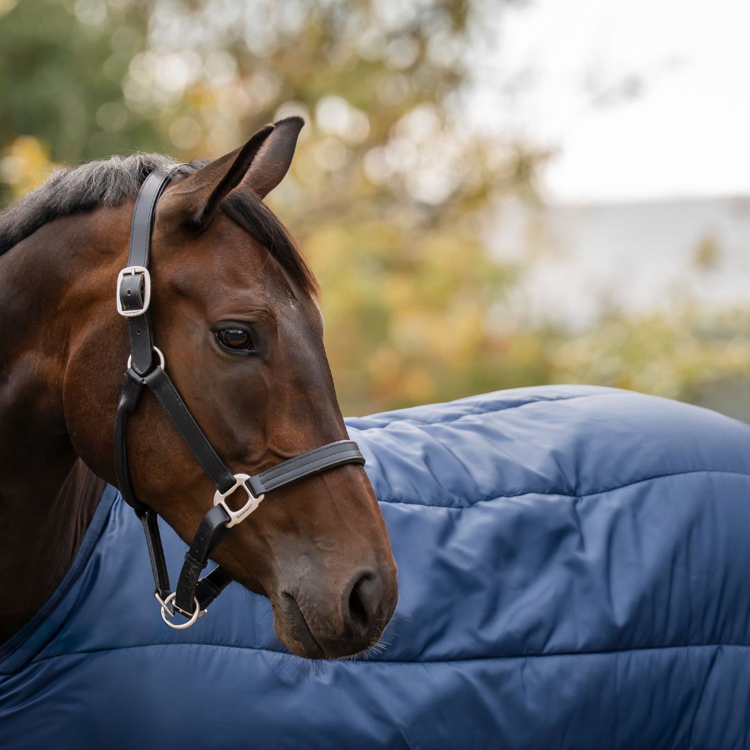 Horseware Liner - 100g