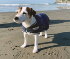 Horseware Newmarket Dog Coat