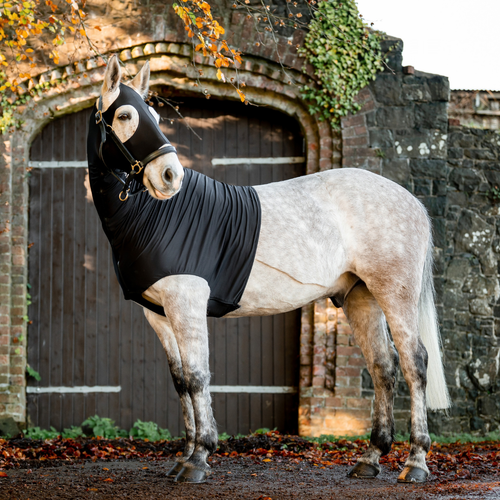 Horseware Slinky Hood (size Large)