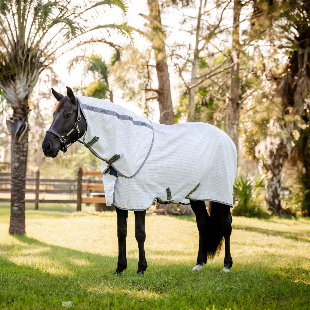 Amigo Summer Sheet Plus *Pre-Order*