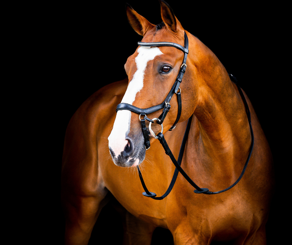 Horseware Micklem 2 Diamante Competition Bridle