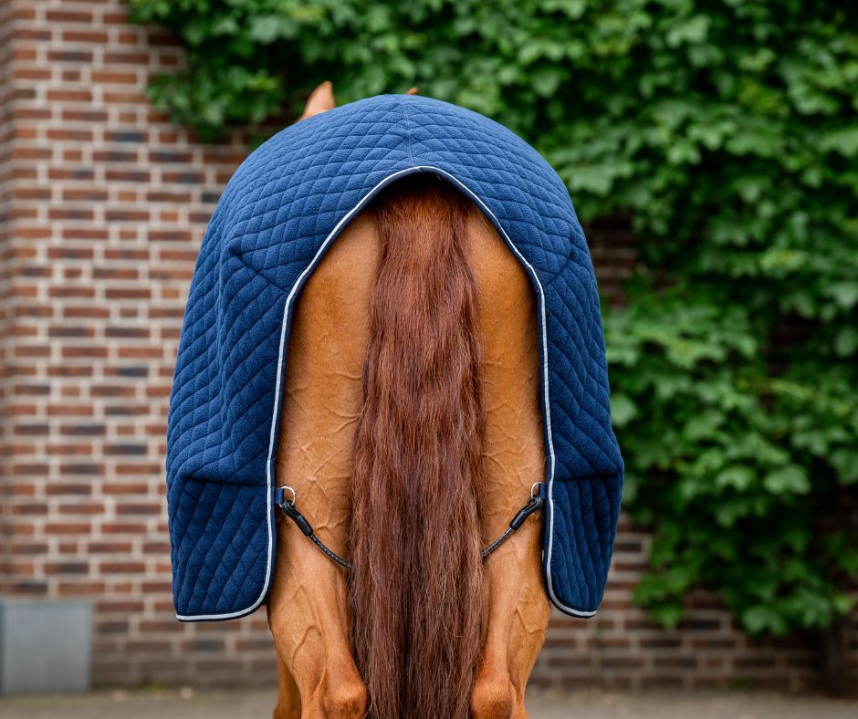 Horseware Thermal Cooler