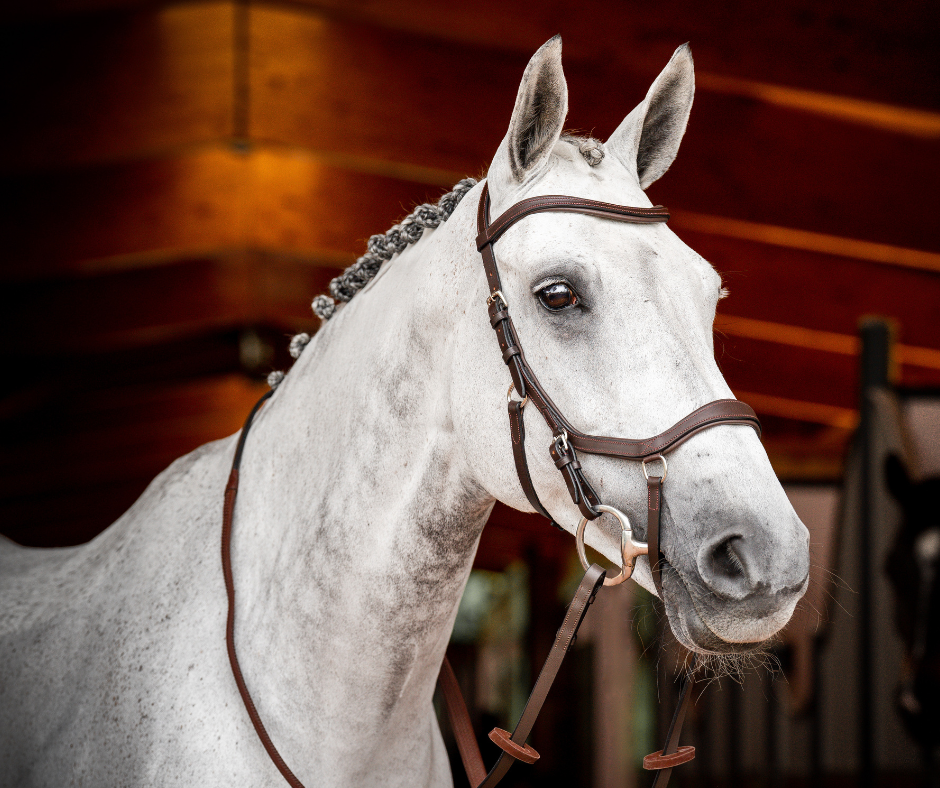 Horseware Micklem 2 Competition Bridle