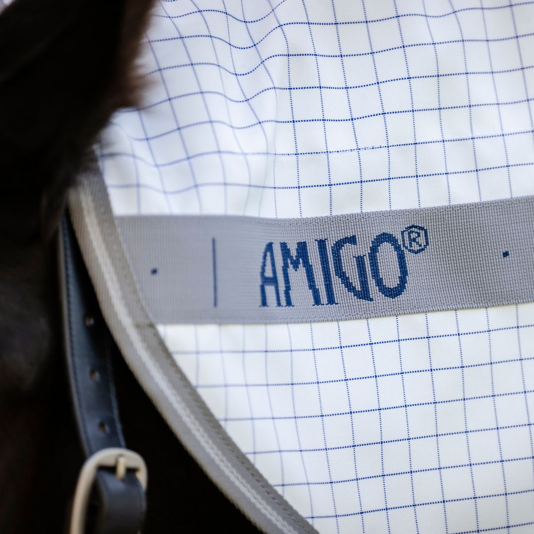 Amigo Summer Sheet Plus *Pre-Order*