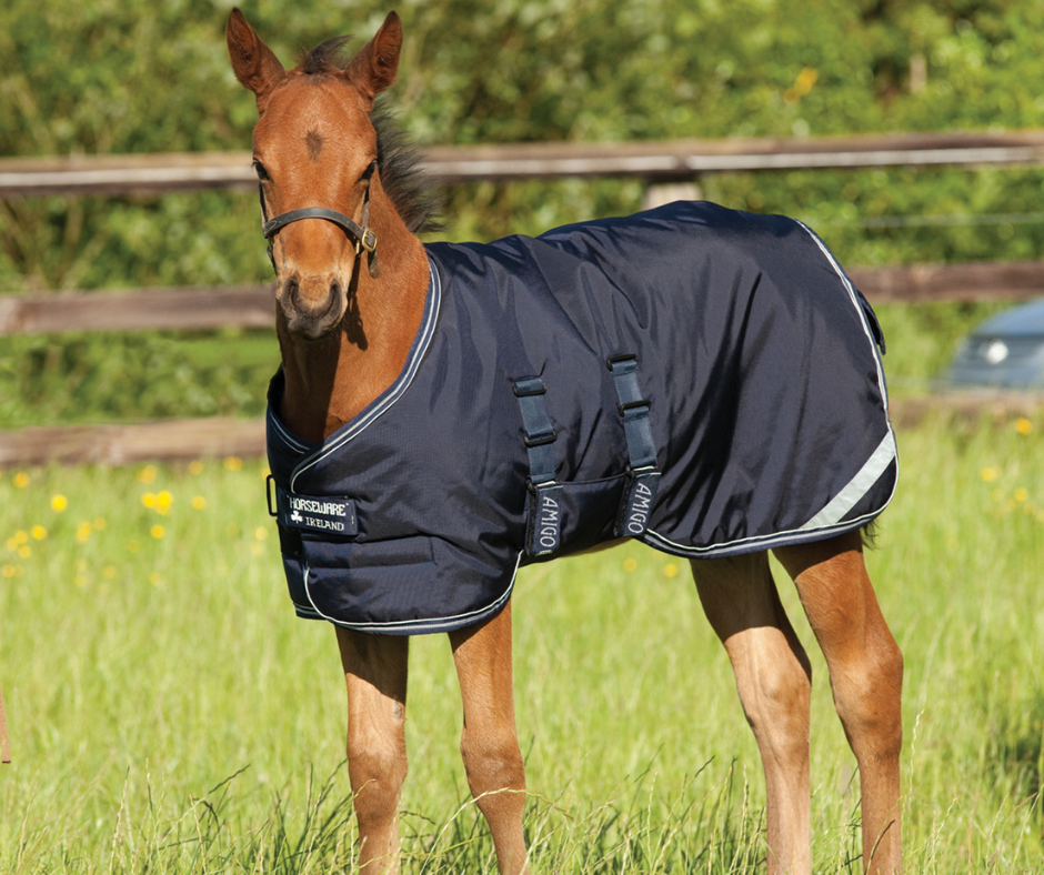 Amigo Ripstop 900D Foal Turnout 50g