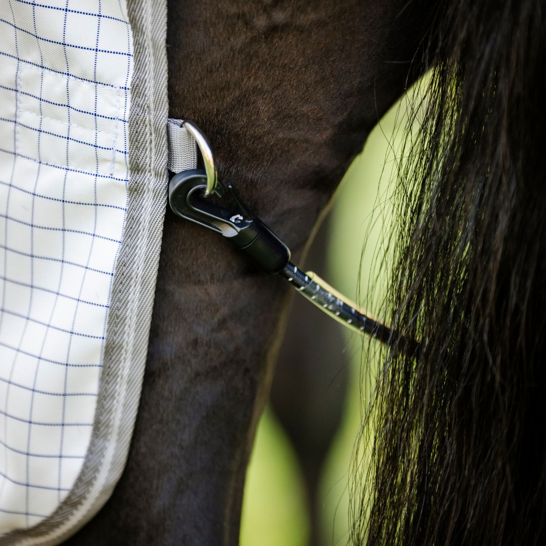 Amigo Summer Sheet Plus *Pre-Order*