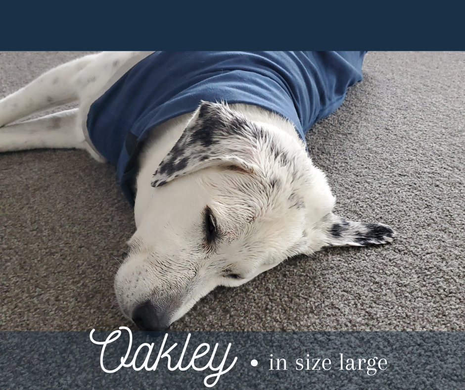 Rambo Dog Dry Rug