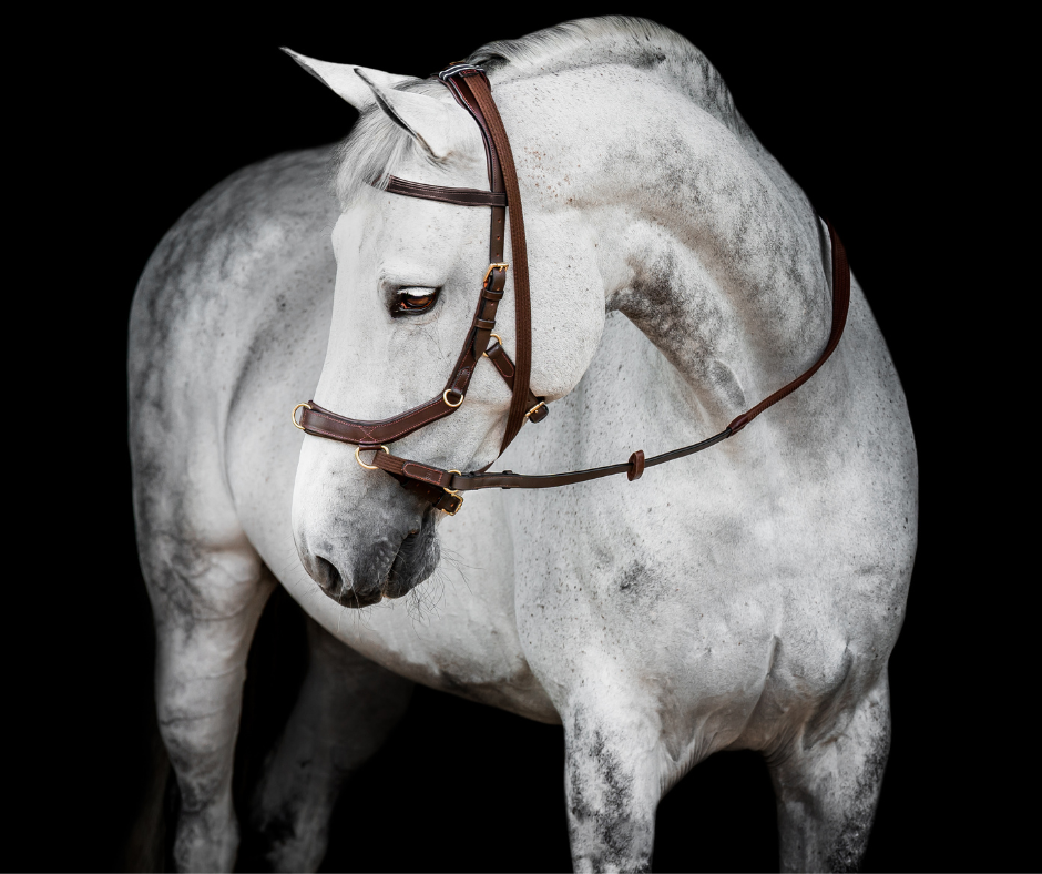 Horseware Micklem 2 Multi Bridle