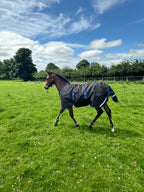 Amigo Ripstop 900D Foal Turnout 50g