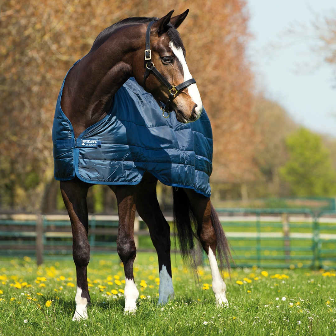 Horseware Liner - 100g (Sizes 5'6Uk - 6'0Uk)