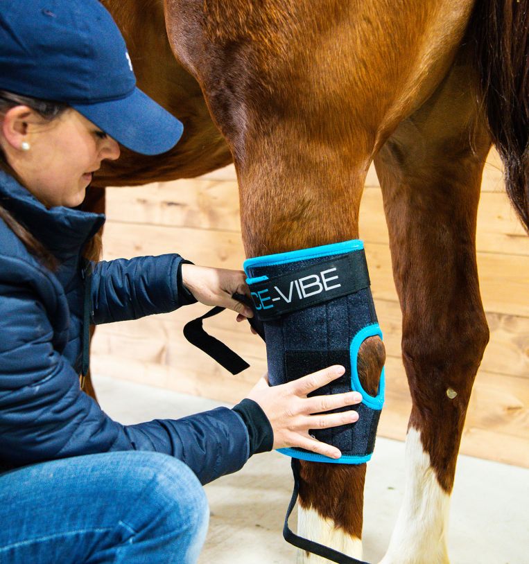 Ice-Vibe Circulation Hock Therapy