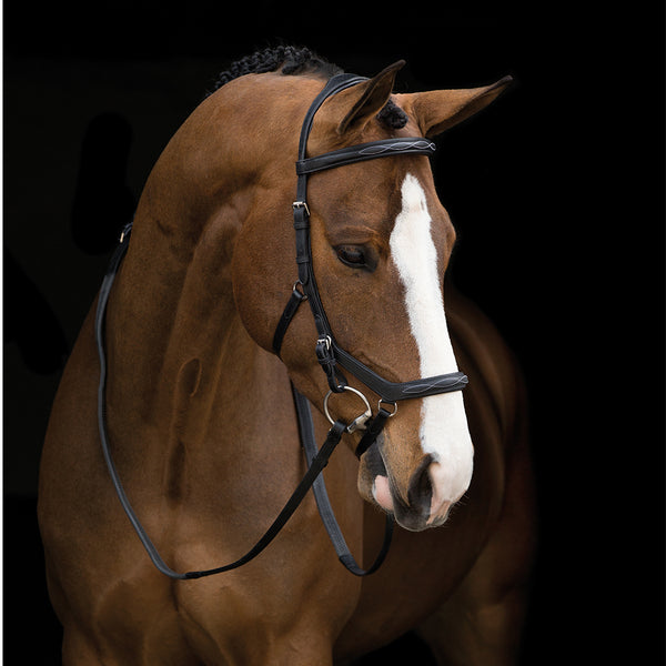 Rambo Micklem Deluxe Competition Bridle